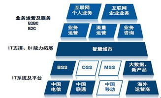 天源迪科（300047）更新研究報告 聚焦政企與運營商雙輪驅動，深化軟件外包服務布局