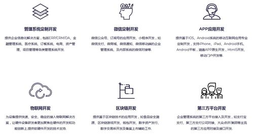 軟件開發外包服務 定義、模式、優勢與選擇指南